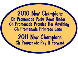 2010 Champs