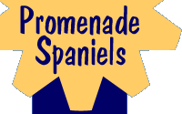Prominade Spaniels