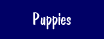 Puppies!